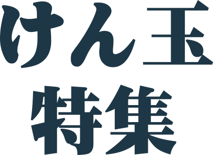 けん玉でイキイキ健康ライフ けん玉特集 けん玉でイキイキ健康ライフ スポーツマリオ通信販売サイト